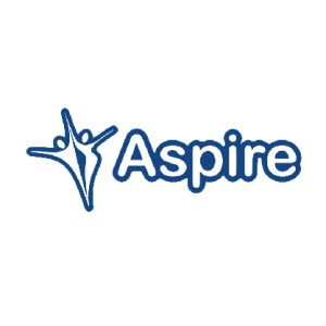 Aspire Adult Belt Diaper